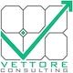 Vettore consulting logo seo geo